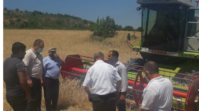 Siyəzəndə reyd: SSRİ-dən qalma sürücülük vəsiqəsi ilə...  - FOTO