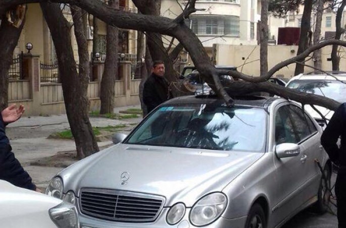 Küləkli hava şəraiti ilə bağlı sürücülərə XƏBƏRDARLIQ