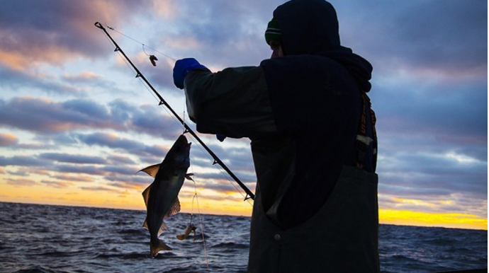 Xəzər akvatoriyasında balıq ovu dayandırılır 