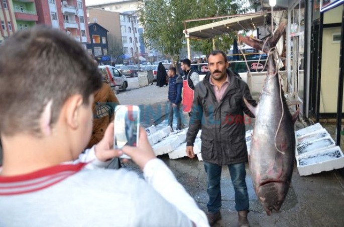 Azərbaycanda metr yarımlıq balıq tutuldu – Türkiyəyə satıldı - FOTO