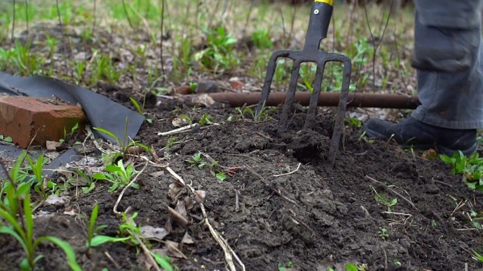 25 yaşlı oğlan öldürülüb, meyit hissələrə bölünərək üç rayonda basdırdılar