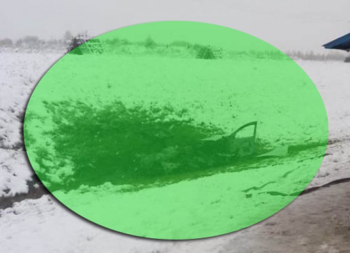 Əks yola çıxan “Renault” ağır qəzaya səbəb oldu: içərisində olan 4 nəfər yanaraq öldü - VİDEO