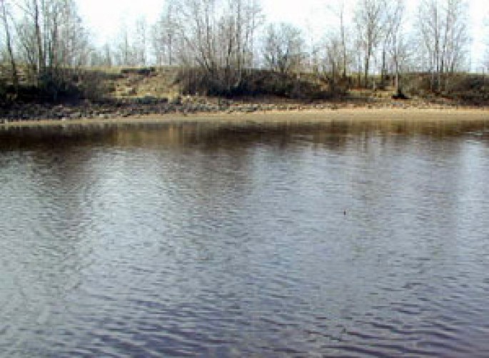 Sərxoş şəxs su arxına yıxılaraq boğulub - Şəkidə