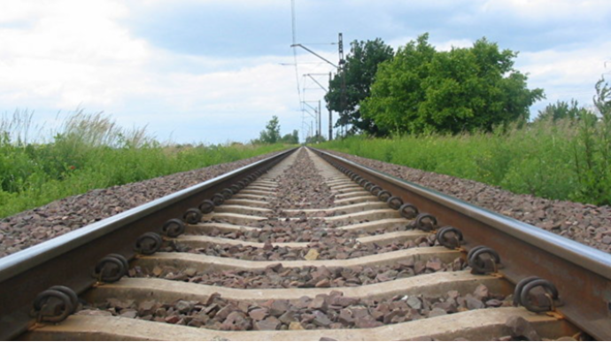 Avropa ölkələri "Dəmir Reyn"i dirçəldirlər