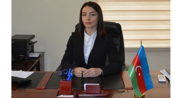 Ara Ayvazyanın Qarabağa qanunsuz səfəri  gərginliyi alovlandırmaq cəhdidir