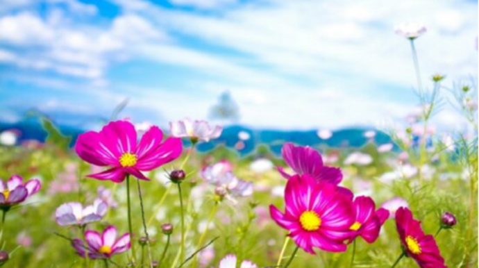 Sabahın hava proqnozu açıqlandı