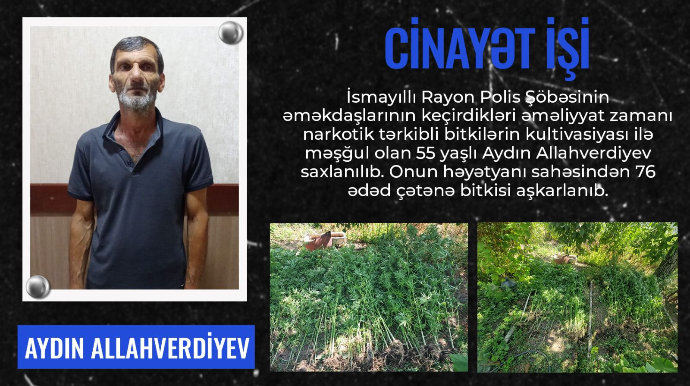 Bostan bitkilərinin arasında çətənə kolu yetişdirdi - VİDEO