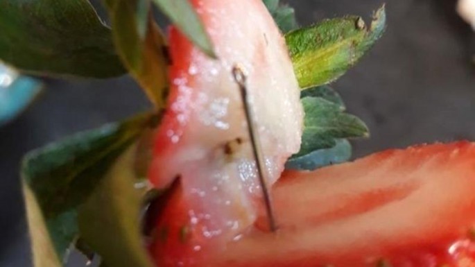 İçərisində iynə olan çiyələk aşkarlandı: Polis cinayətkarı tapana 100 min dollar verəcək - FOTO