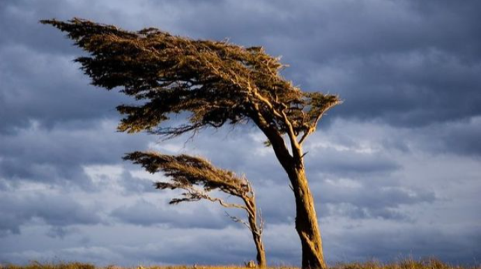 Bəzi yerlərdə cənub-qərb küləyi əsir - Faktiki hava