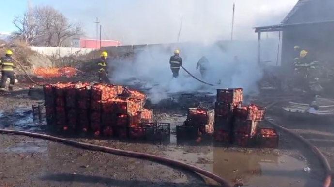 Zaqatalada xurma sexi yandı - FOTO