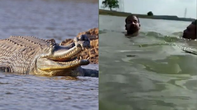 Dostunu timsahın ağzından xilas etdi – ANBAAN Video