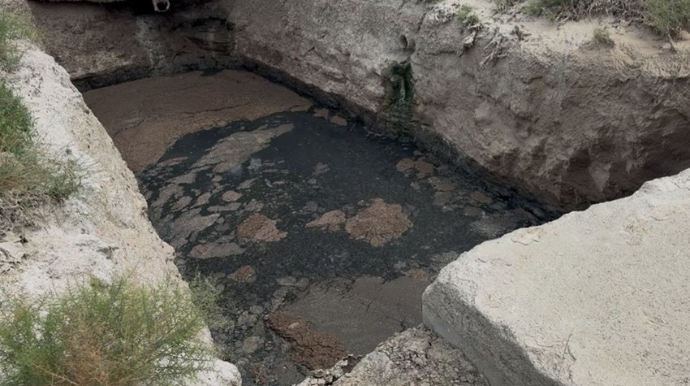 ADSEA: "ARKA” MMC 10 500 manat cərimələnib - FOTO