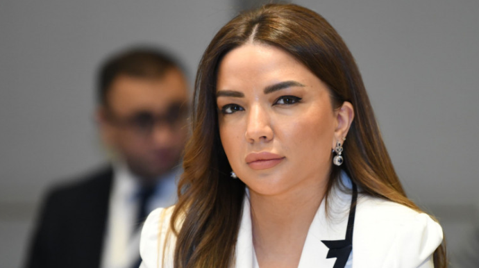 Dövlət Agentliyi Qlobal Cənub QHT-lərinə dəstəyi davam etdirəcək - FOTO