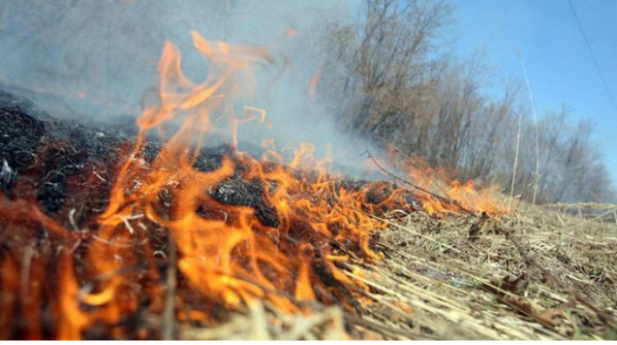 Zəngilandakı yanğını polis, FHN və DSX əməkdaşları söndürdü - VİDEO