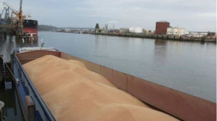 Minayabənzər obyektə görə ərzaq daşıyan gəmilər Ukrayna limanlarını tərk etməyib 