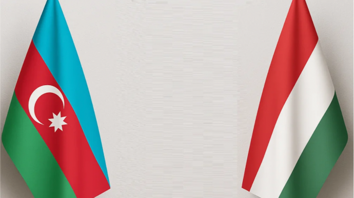 Macarıstan səfirliyi Naxçıvana edilən hücumları pisləyib 