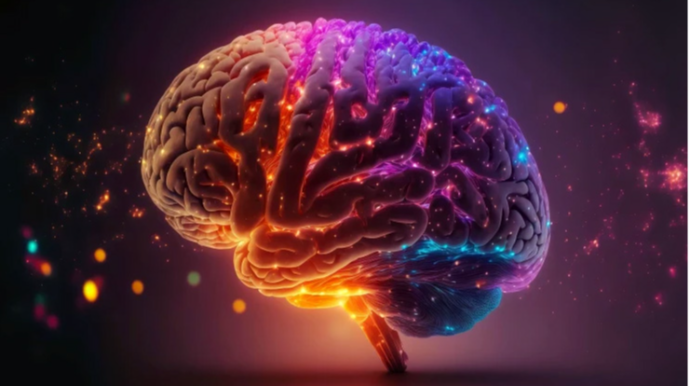 Alimlər beyində xatirələrin "yenidən yüklənməsi düyməsi"ni aşkarladı