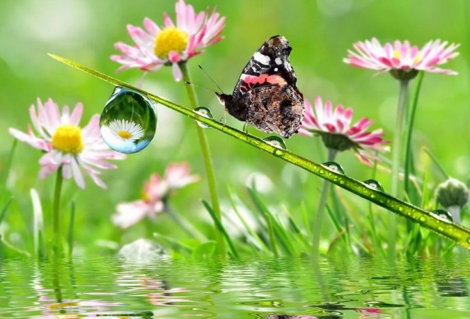 Azərbaycana yay fəsli daxil olub