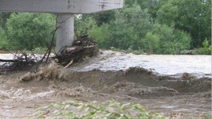 Bu çaylardan sel keçir 