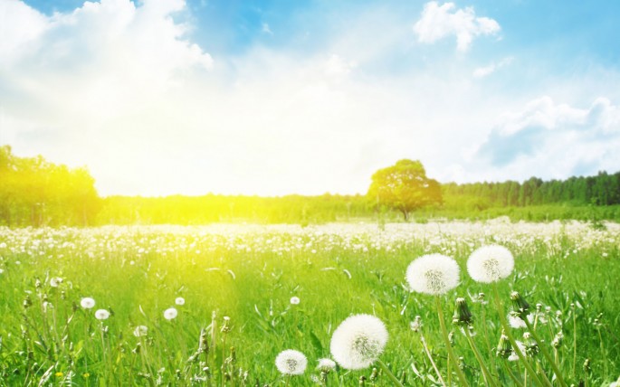 Bu günə olan hava proqnozu AÇIQLANDI