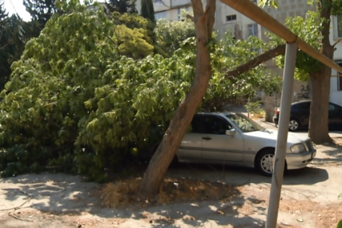 Ağacın iri budağı qırılaraq iki avtomobilin üstünə aşıb - VİDEO