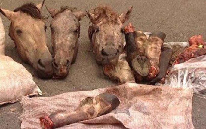 Bizə niyə at-eşşək əti yedirirlər?