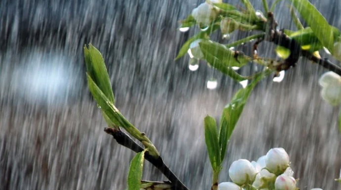 Первая декада апреля в Азербайджане пройдет с дождями, грозами и градом 