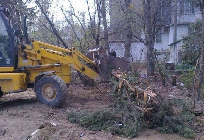 Bakıda ağaclar abadlıq adı ilə kütləvi şəkildə kəsilib – FOTO
