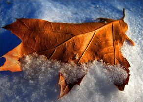 Bu günə olan hava proqnozu AÇIQLANDI