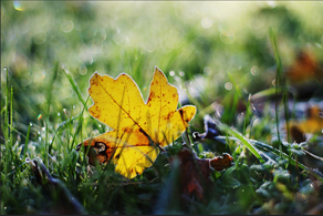 Bu günün hava proqnozu