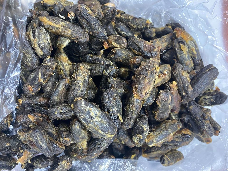 Xurma çəyirdəyində narkotik