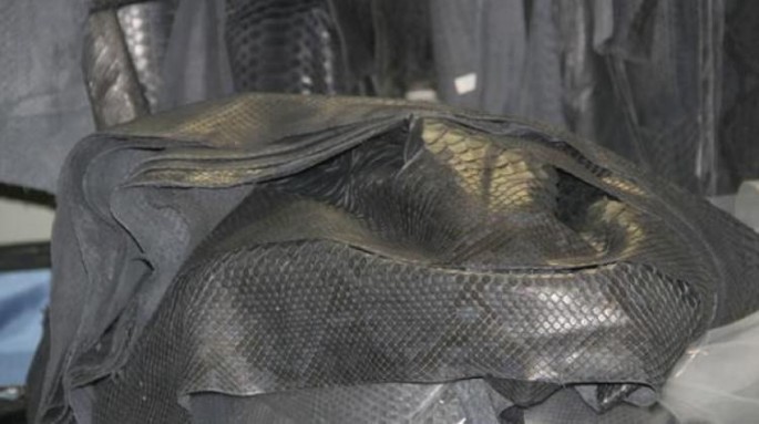 Hava limanında anakonda dərisi ilə tutuldu