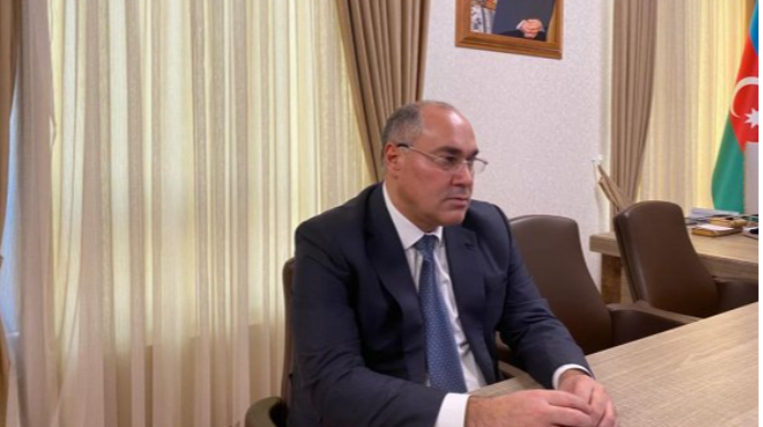 “Gömrük Komitəsinə qarşı hucumlar monopolistlərin sifarişi ilə edilir” – Səfər Mehdiyev 