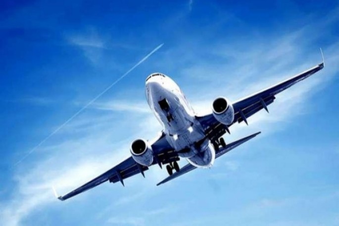 Azərbaycanda təyyarə satılır: Sahibi kimdir? - VİDEO