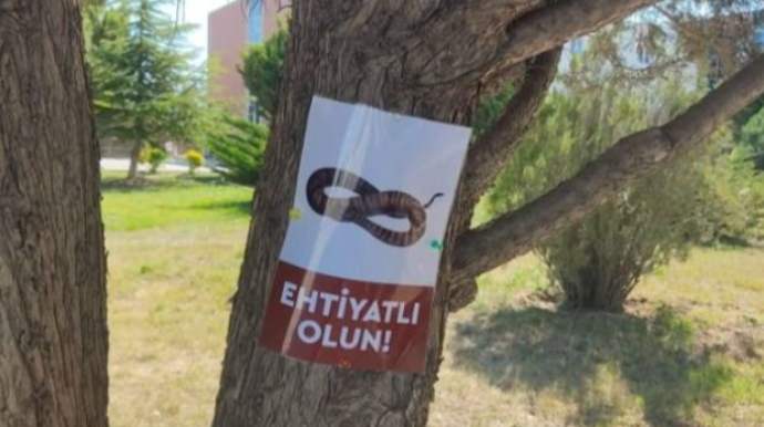 Universitetdə müzakirələrə səbəb olan ilan elanı ilə bağlı AÇIQLAMA 