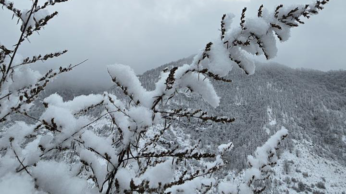 Kəskin hava şəraiti ilə bağlı əhaliyə daha bir - Çağırış 