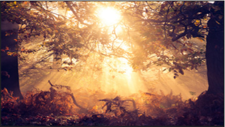 Günün hava proqnozu - 12-14 dərəcə isti olacaq