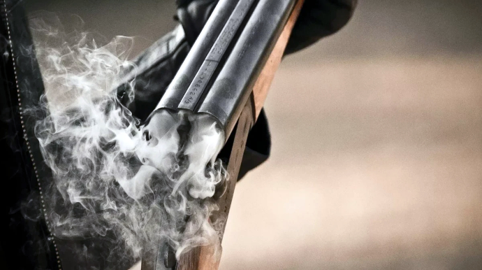 В Масаллы 29-летний мужчина убил свою тещу и ранил 3 человек 