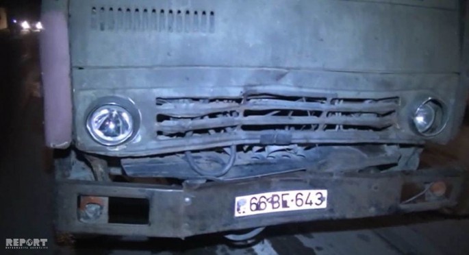 Şirvanda yük avtomobili iribuynuzlu mal-qaranı vuraraq öldürüb - FOTO