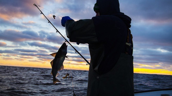 Azərbaycanda balıq ovuna icazə veriləcək 