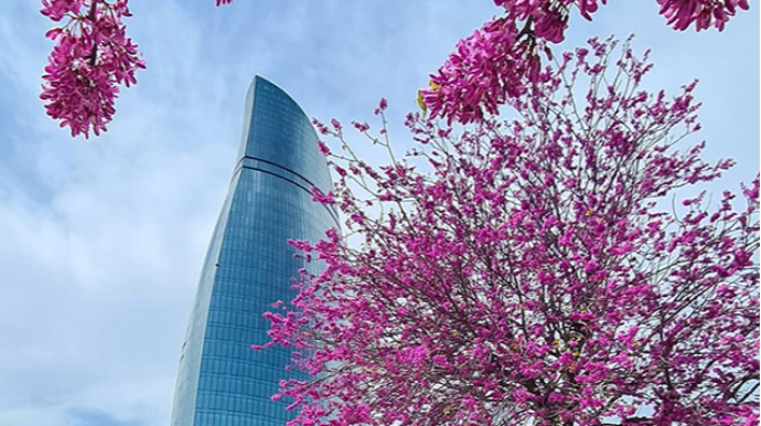 Martın ilk gününə olan hava proqnozu 