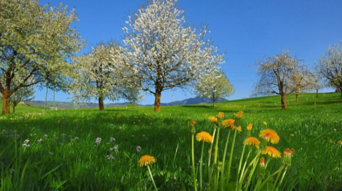 Sabah 21 dərəcə isti olacaq - HAVA PROQNOZU 