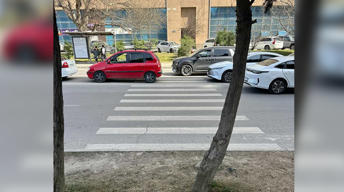 “Piyada zolağından sonra səki yoxdur, ağaclığa giririk” - FOTO - VİDEO