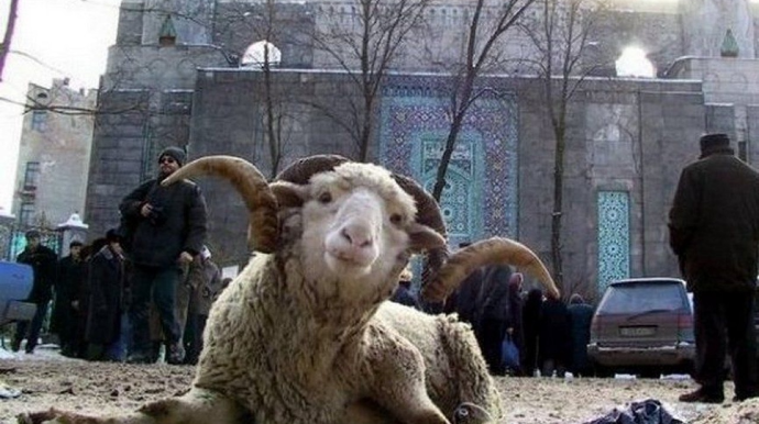 5 gün ardıcıl qeyri-iş günü olacaq - TARİXLƏR 