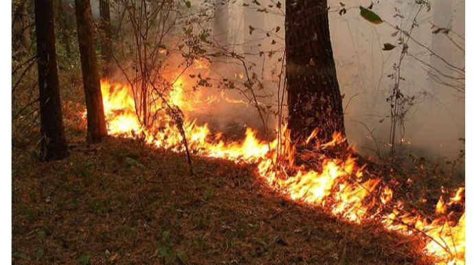 Ağsuda dağlıq ərazidə yanğın başlayıb
