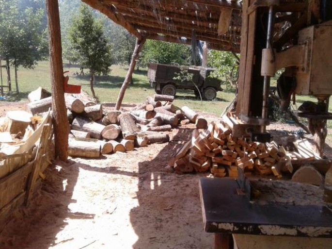 Qanunsuz yolla əldə edilmiş meşə materialı aşkar edilib - FOTO