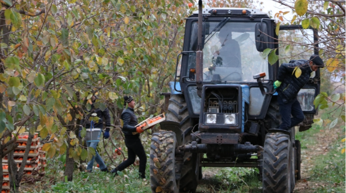 Azərbaycanda fermerləri və sürücüləri gözləyən ortaq problem - FOTO