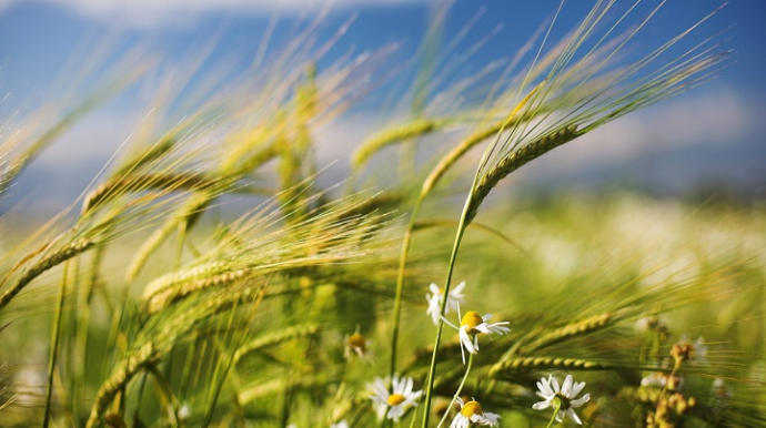 Sabah güclü külək əsəcək