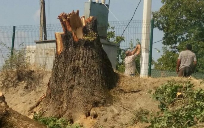 Güclü yağış Bakının bir çox ərazilərində işıqları söndürdü