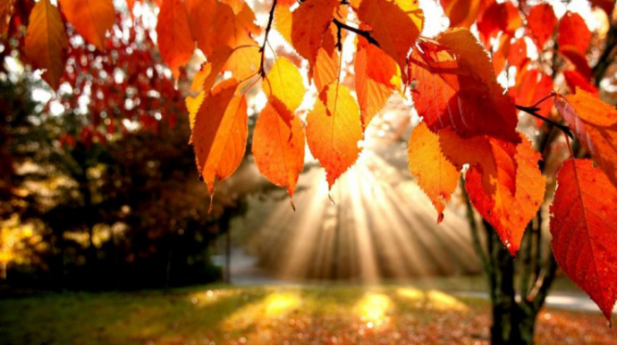 Sabah 18 dərəcə isti olacaq - PROQNOZ 